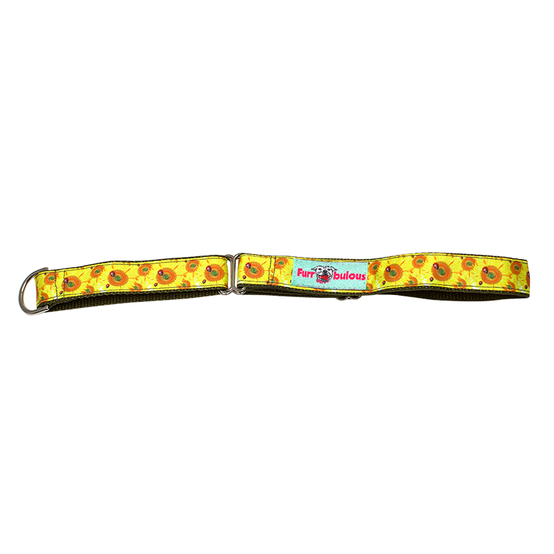 Autumn Seasonal Martingale 1" Dog Collar