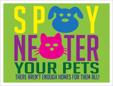 The Importance of Spay & Neuter