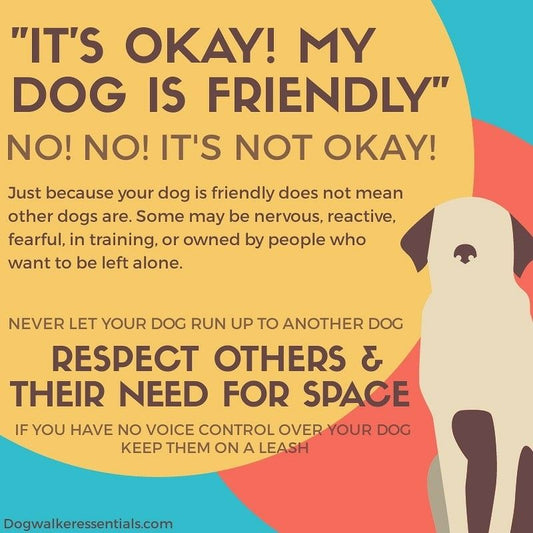 It's okay... My dog is friendly!