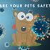 Are Your Pets Safe From COVID-19