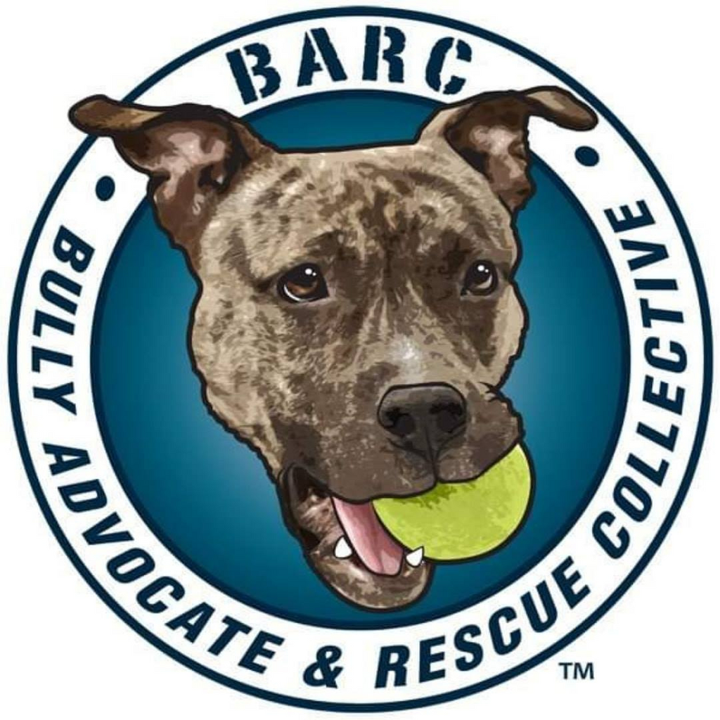 BARC.. Our December Rescue Partner