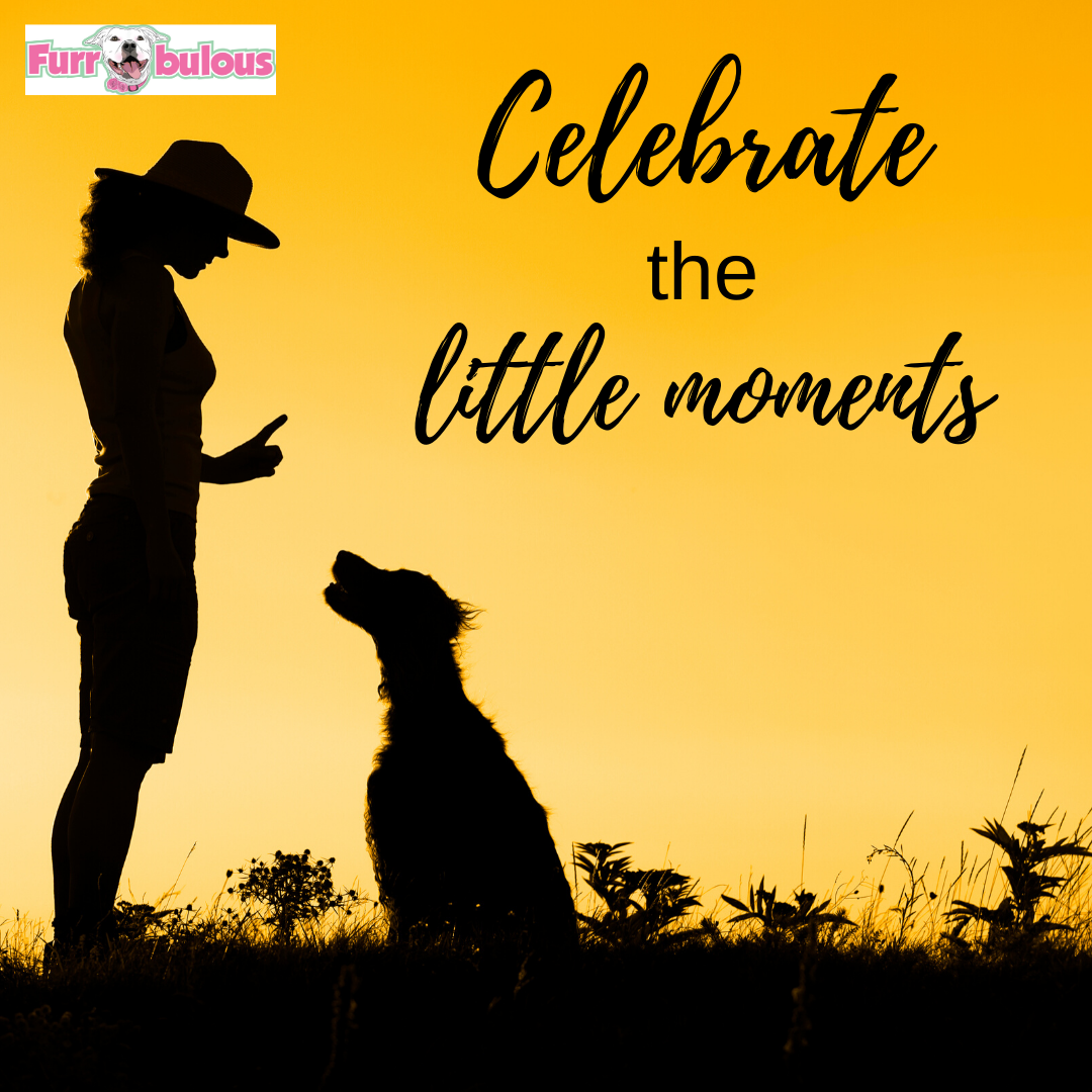 Celebrating the Little Moments