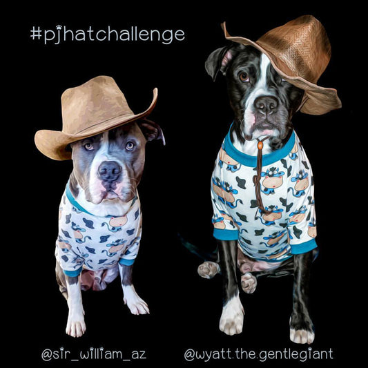 Join the #PJHATCHALLENGE