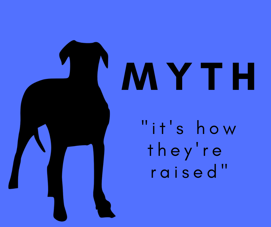 Myth:  It's How They're Raised