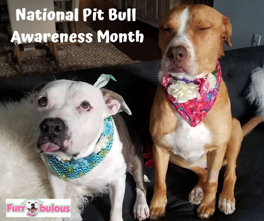 It's National Pit Bull Awareness Month!