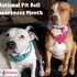It's National Pit Bull Awareness Month!