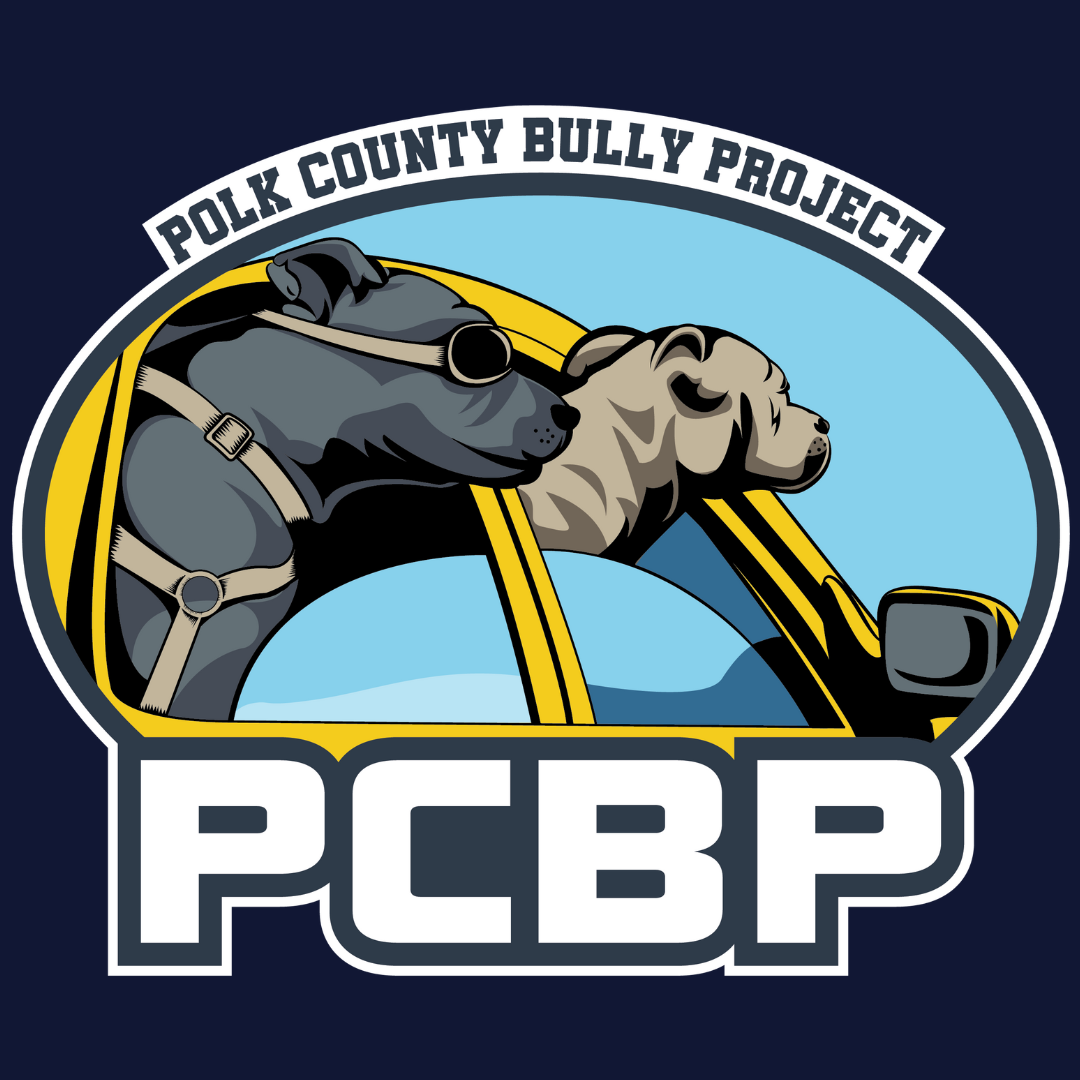 Polk County Bully Project