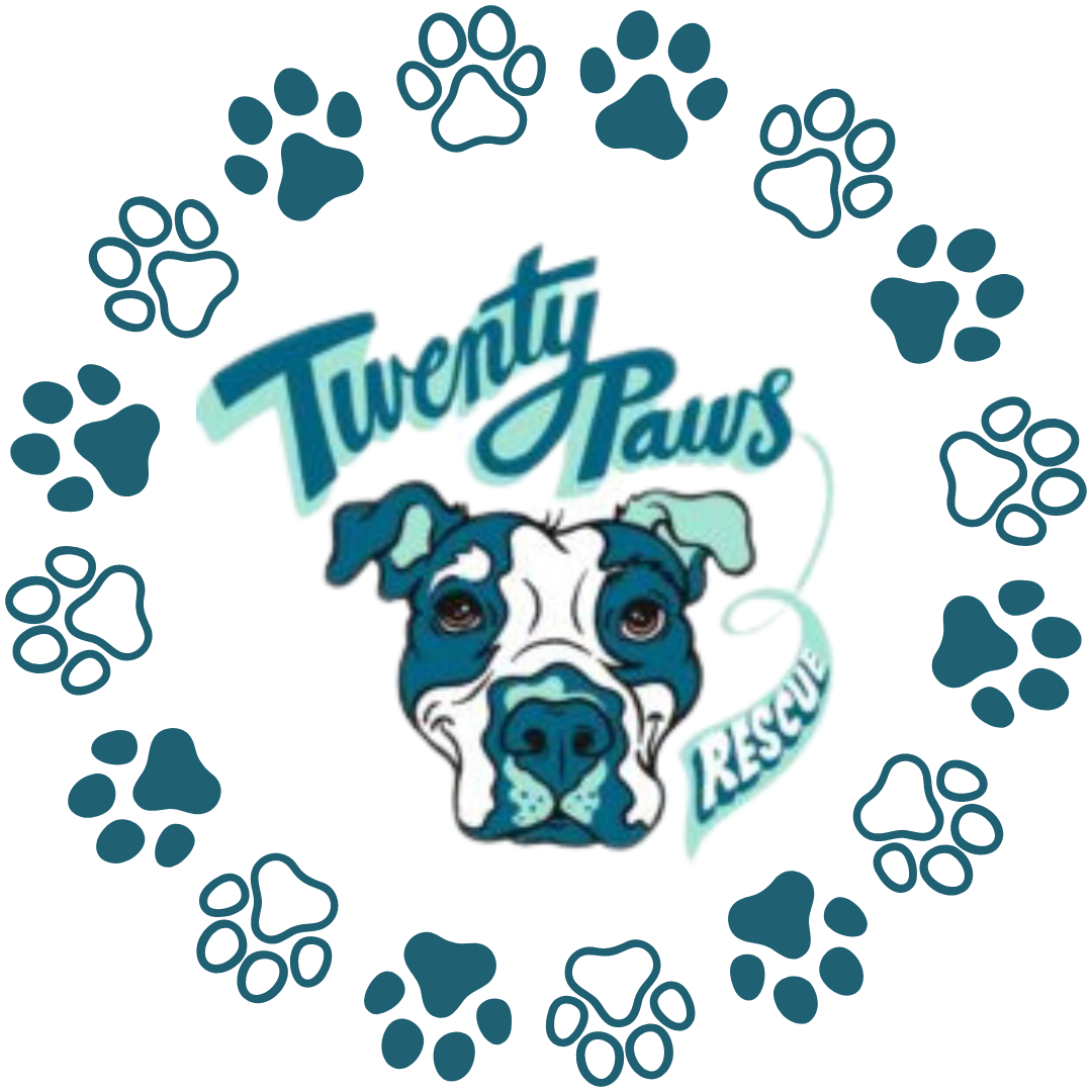 Twenty Paws Rescue: Our May Rescue Partner