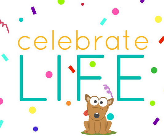 Let's Celebrate Life