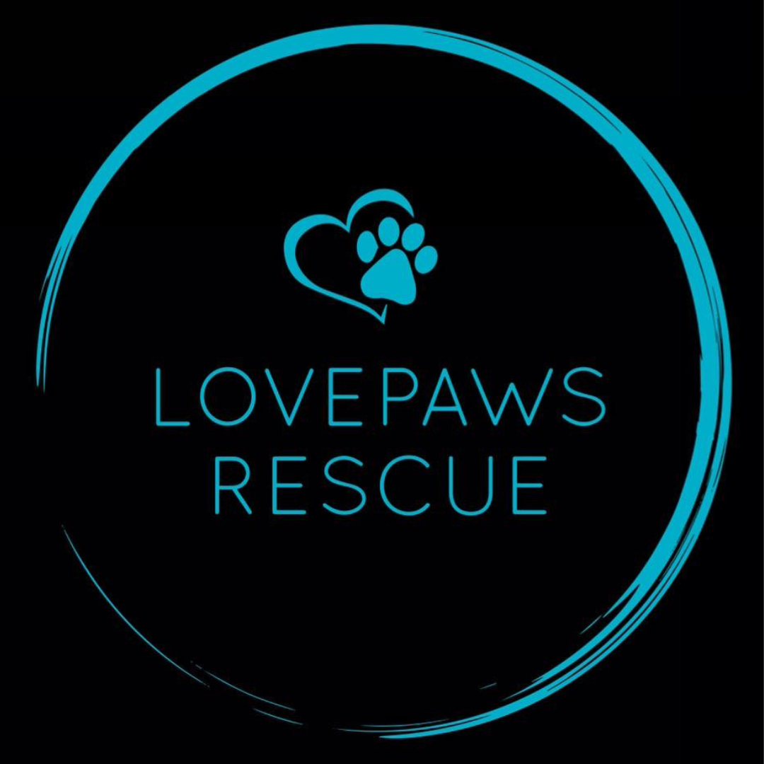 Lovepaws Rescue - Our July Rescue Partner