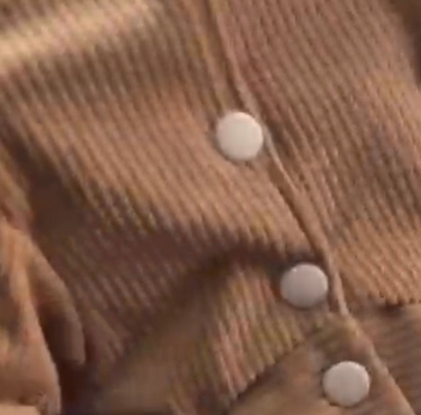 Classic Corduroy Dog Jacket – Sherpa Collar & Fleece-Lined Coat (Camel or Raspberry Pink)