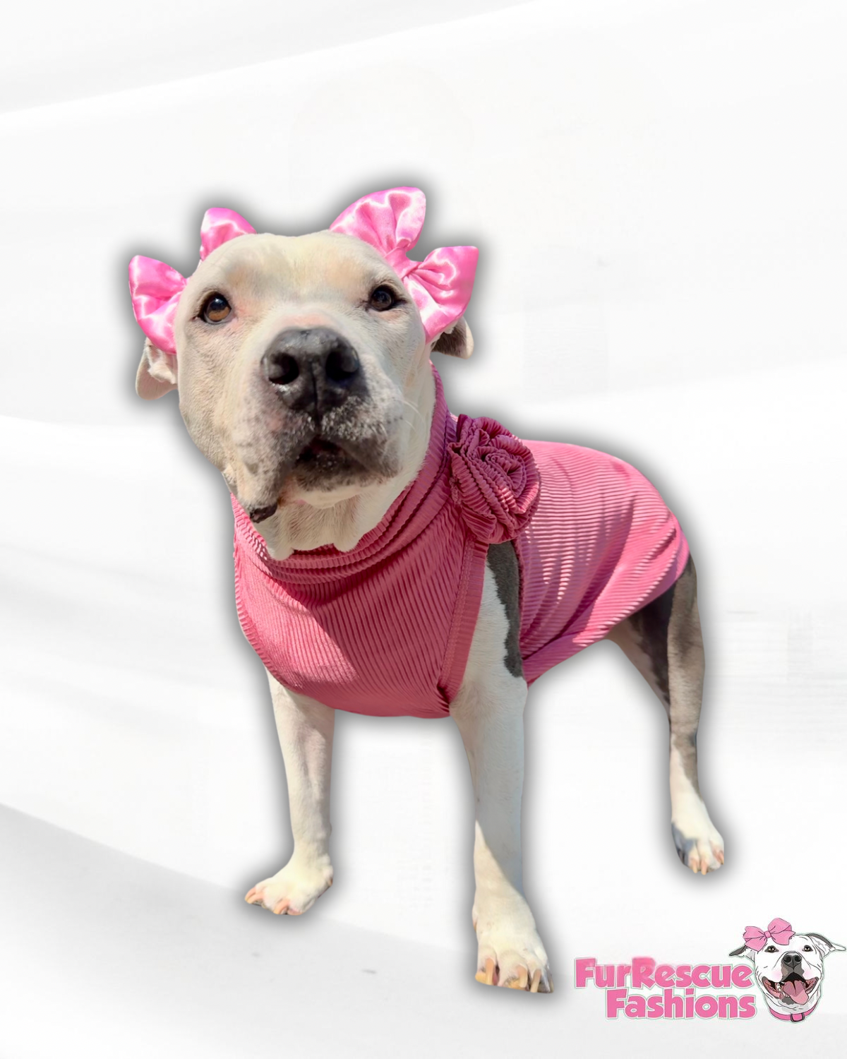 Pink Ribbed Classy Dog Shirt with Rose