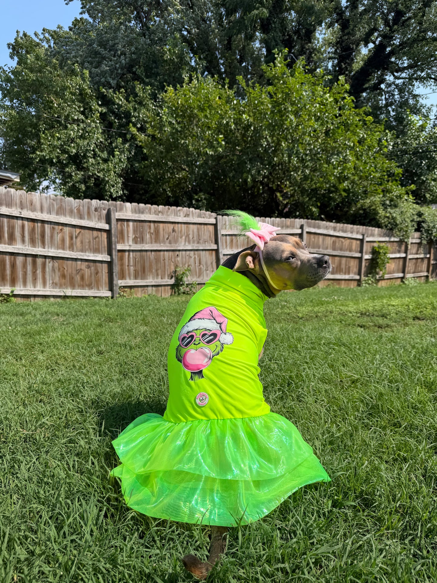 Grinch Bubblegum Dog Tutu Dress With Headband
