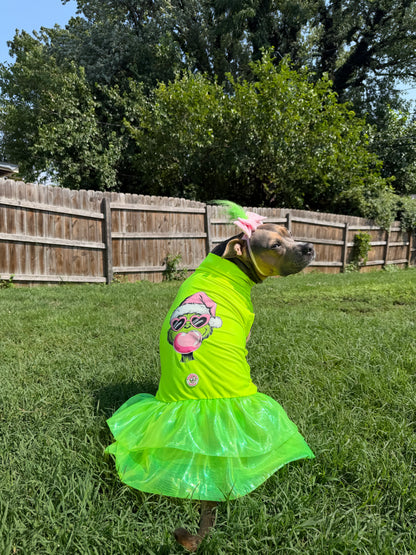 Grinch Bubblegum Dog Tutu Dress With Headband