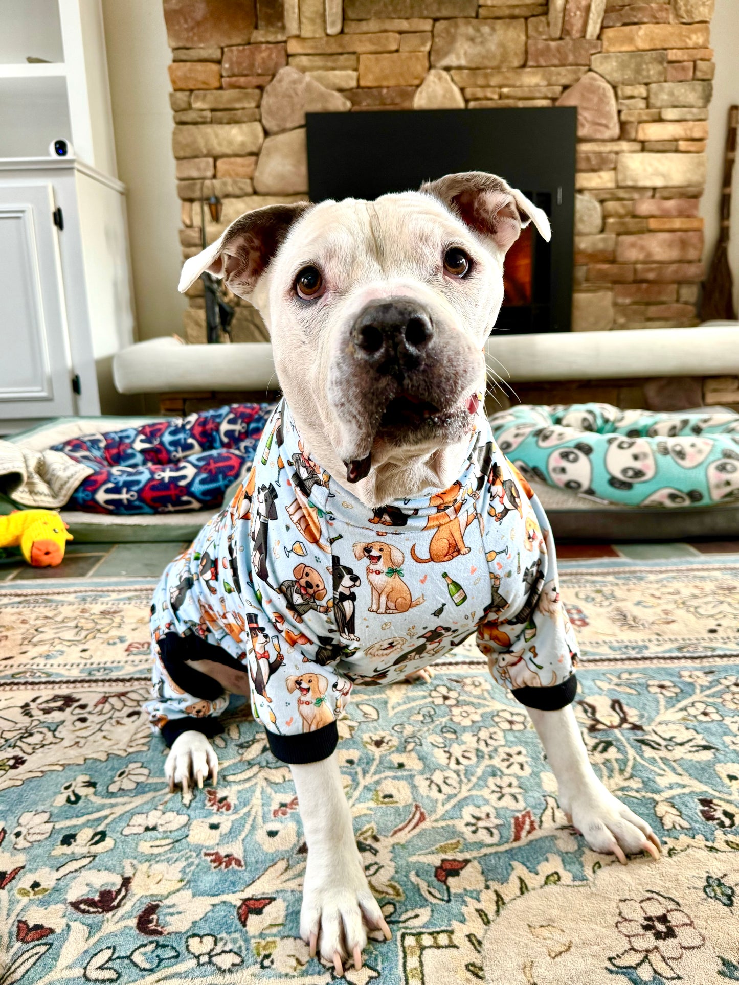 Furry Finery on NYE - Dog Pajama with Black Neck & Trim/Sleeves