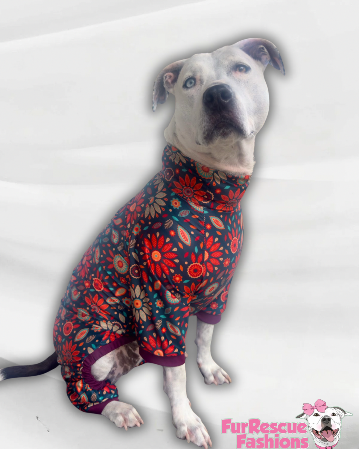 2026 Fall & Halloween 4 Legged PAWjamas with Turtle Neck (Available in any pattern)