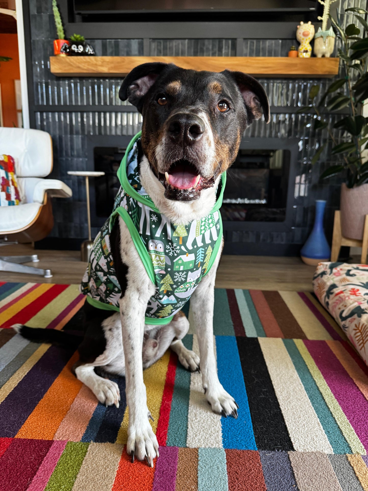 Forest Winter Dog Pajama with Light Green Neck & Trim/Sleeves