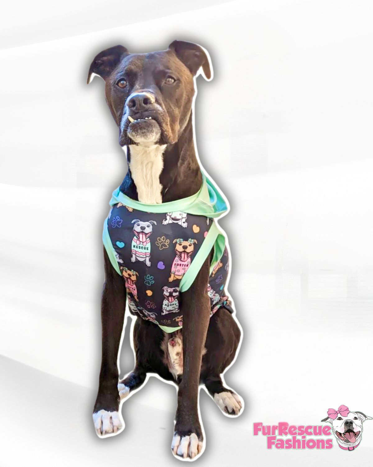 FurResCrew Charcoal- Dog Pajama with Mint or Pink Neck & Trim/Sleeves