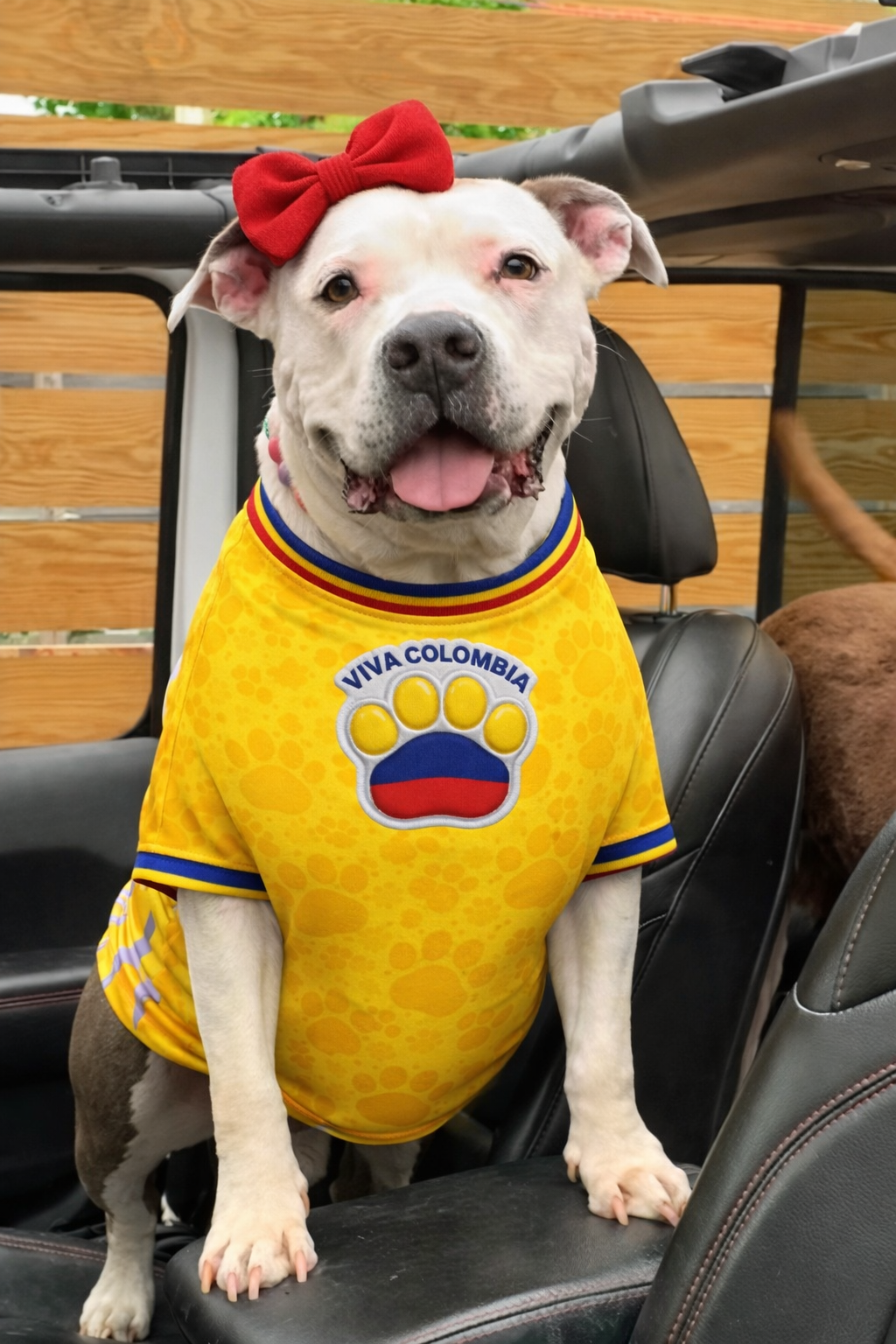 Colombia Dog Jersey or Ruffle Dress – World Cup 2026 | Custom Pet Soccer Shirt ⚽️🐾