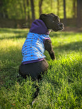 End BSL & Pittie Smiles - Dog Pajama with Purple Neck & Trim/Sleeves (Copy)