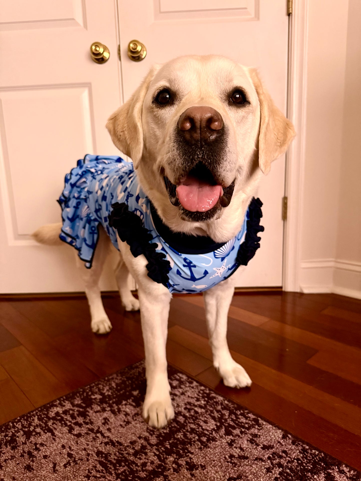 Sailor Seas & Nautical Dreams- Dog Pajama with Navy Blue Neck & Trim/Sleeves