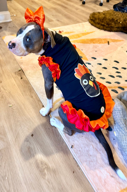 I Am Stuffed Turkey Twirl Shirt with Ruffles