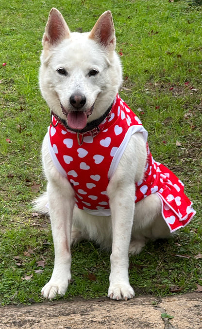Classic Valentine Dog Pajama with White Neck & Trim/Sleeves