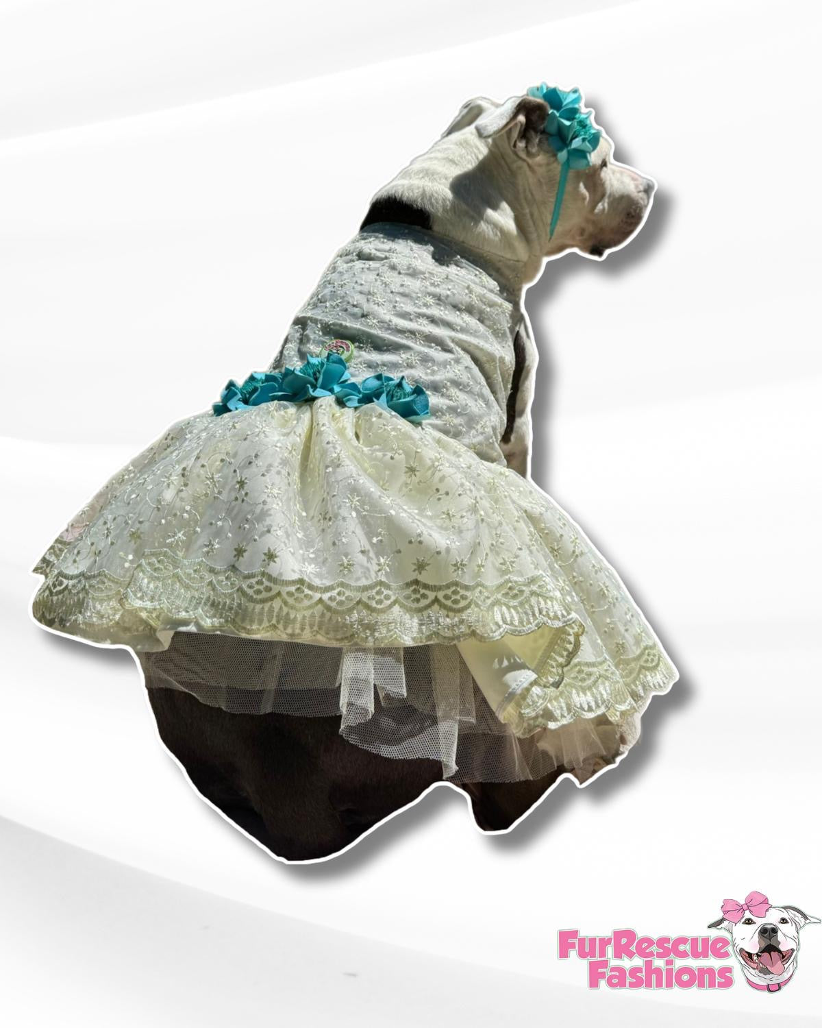 Cute Angelical Dog Dress