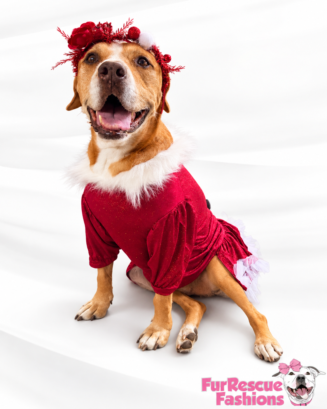 Santa’s Scarlet Belle Couture Christmas Dog Dress