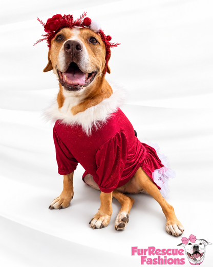 Santa’s Scarlet Belle Couture Christmas Dog Dress