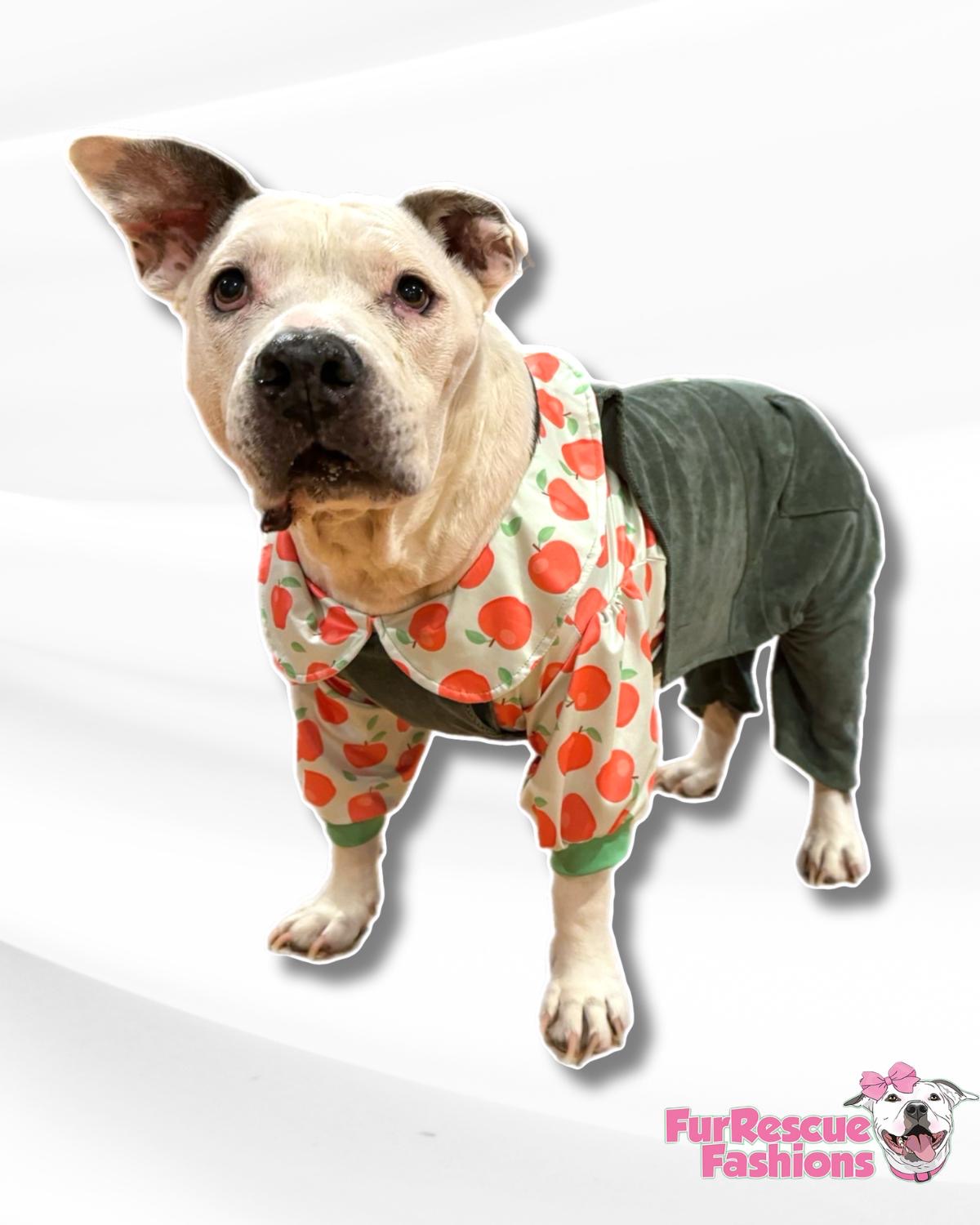 UV50 Apple Orchard Classic Pup Sun Shirt