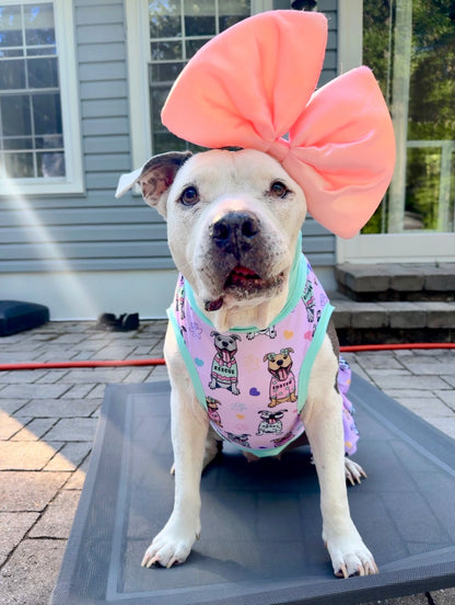 FurResCrew Pink - Dog Pajama with Mint Neck & Trim/Sleeves