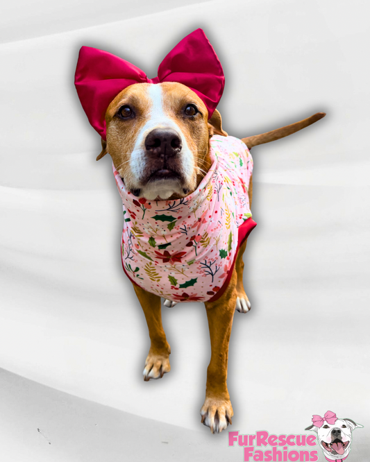 Christmas Blooms - Dog Pajama with Red Neck & Trim/Sleeves