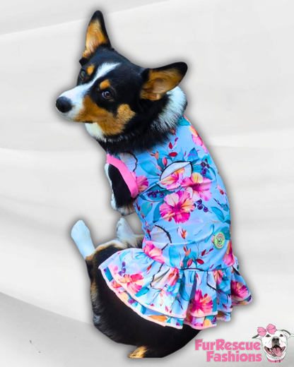 2026 Summer Dog Dress With Ruffle / With Sleeves or Sleeveless (Available in any pattern)
