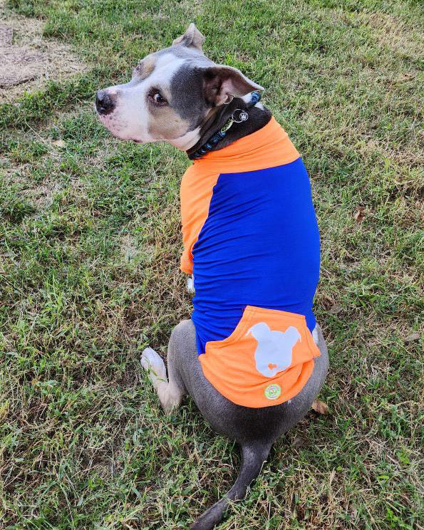 Pitties Are Love PAWJama Royal Blue & Orange