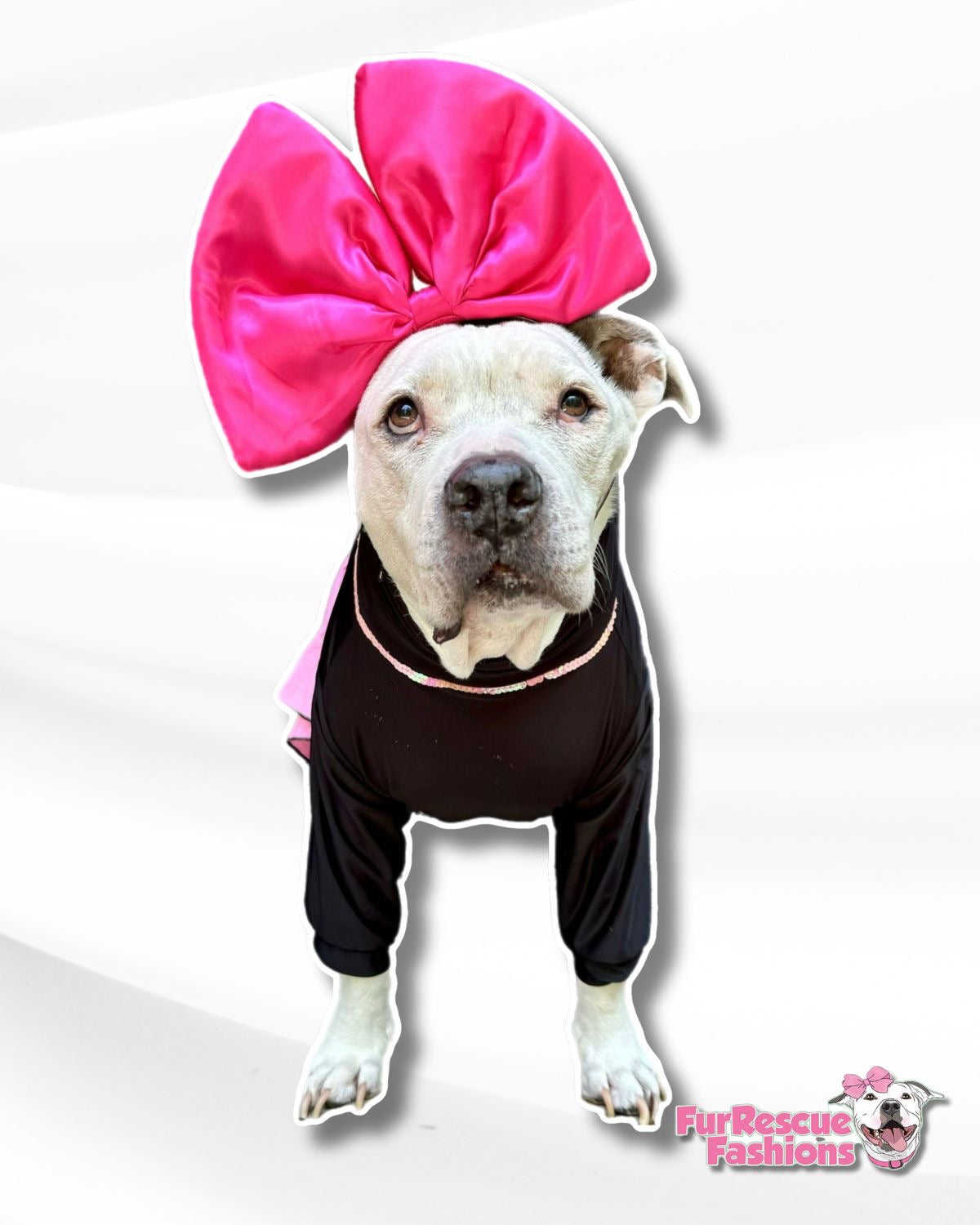 50s Pittie Poodle Skirt Dog Dress Bow – FurRescue Fashions