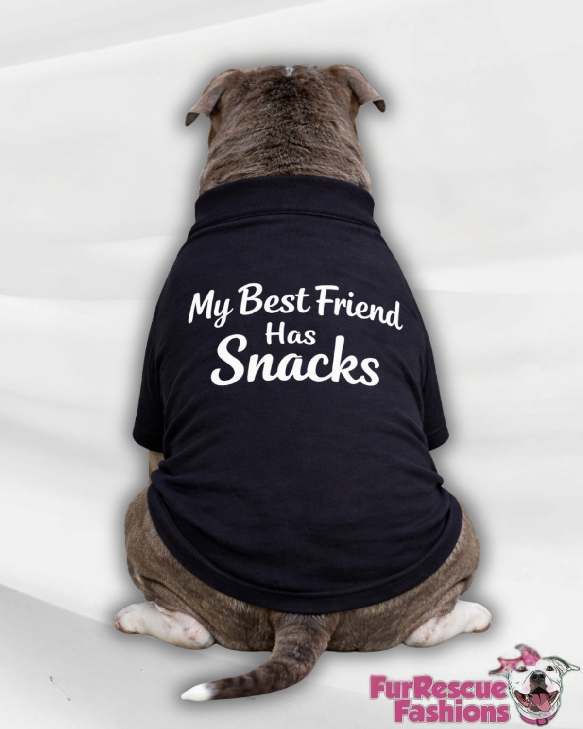 My Best Friend Has Snacks Dog Shirt