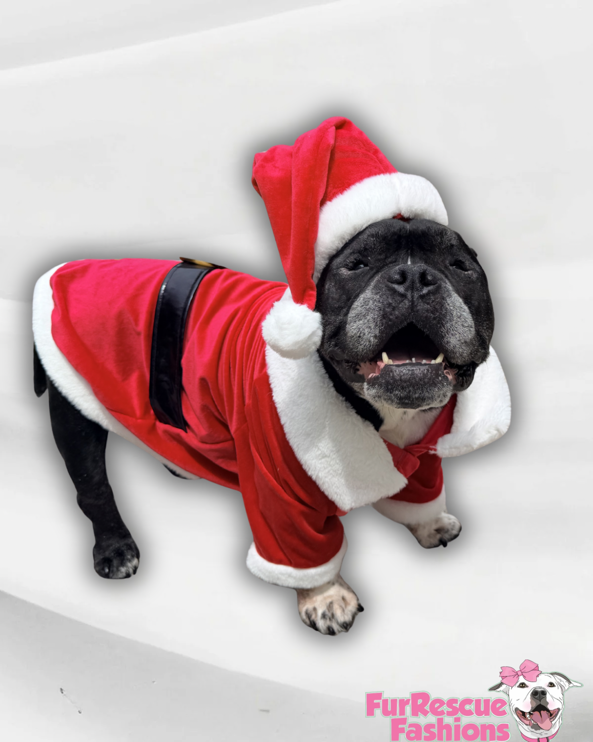 Classic Santa Dog Coat