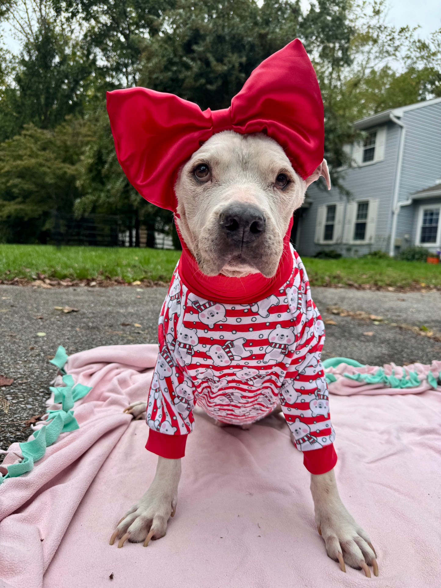 Polar Cuties Dog Pajama with Red Neck & Trim/Sleeves
