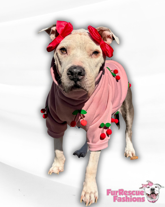 Cherry Love Dog Crewneck – Comfy Pink Sweatshirt with Cherries