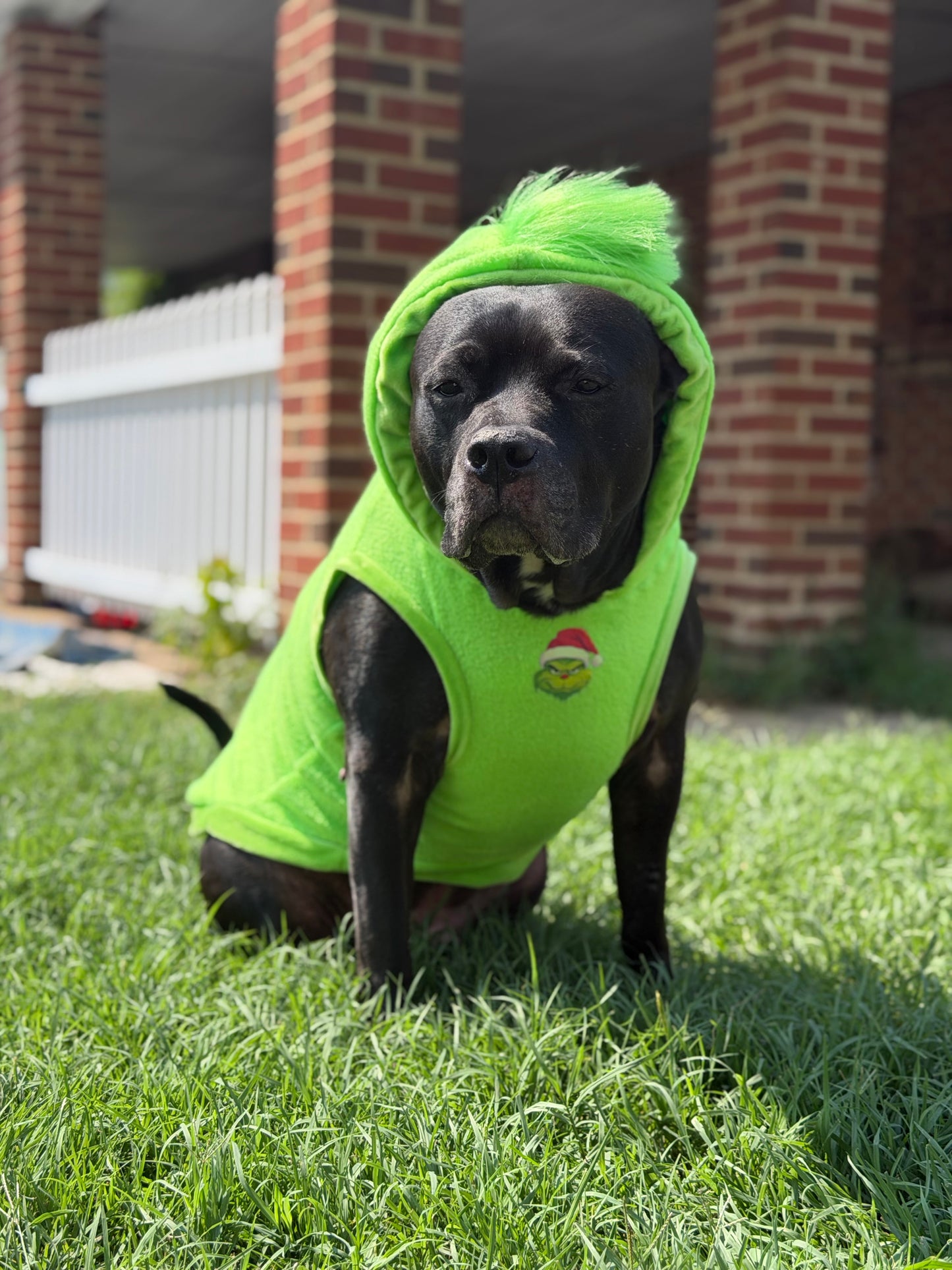 Grinch Claus Hoodie