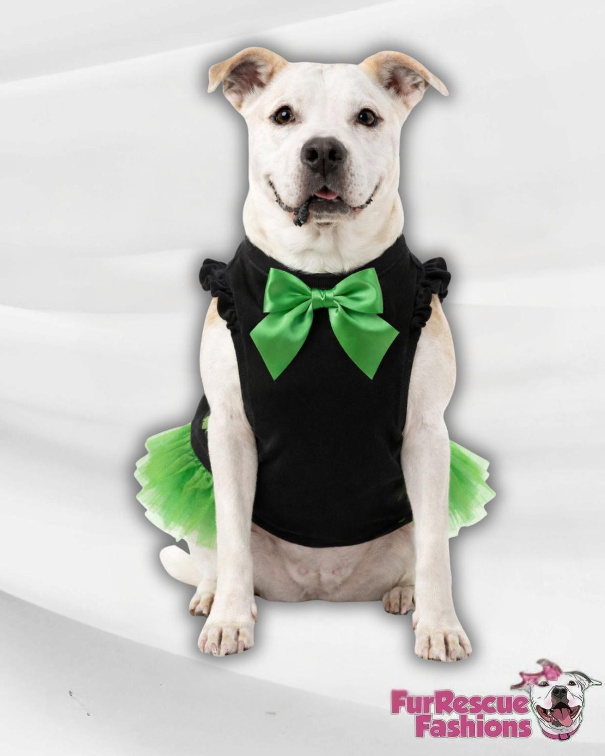 Lucky Charm Shamrock Dog Dress