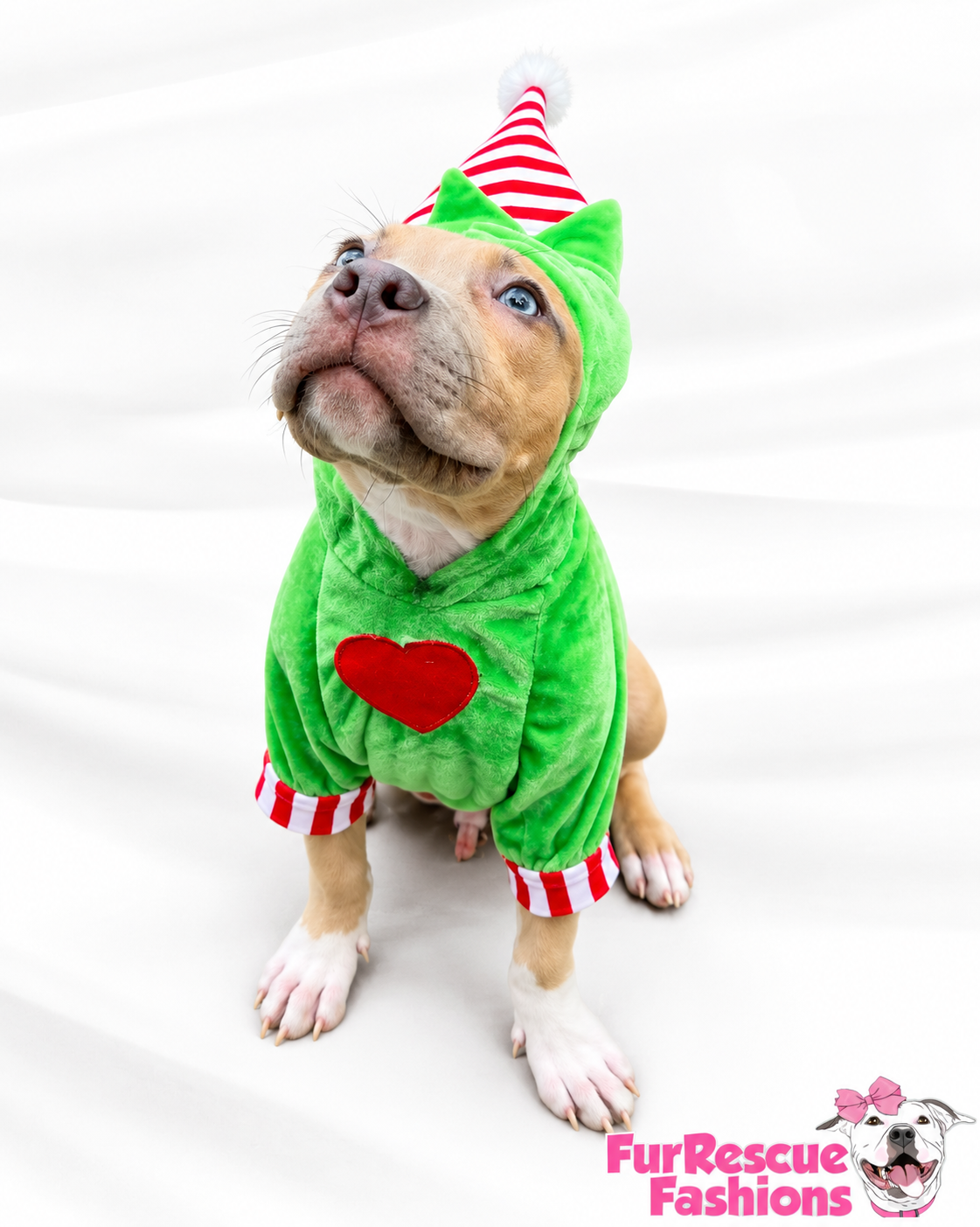 Merry Little Mischief Couture Christmas Dog Hoodie