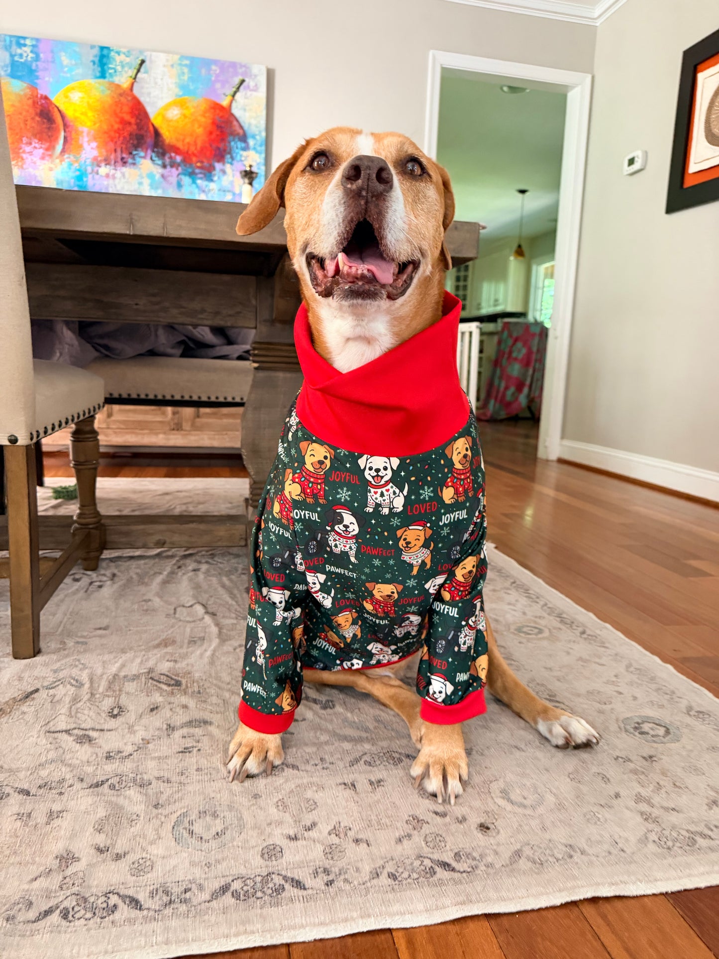 Joyful, Loved & Pawfect Misfits - Dog Pajama with Red Neck & Trim/Sleeves
