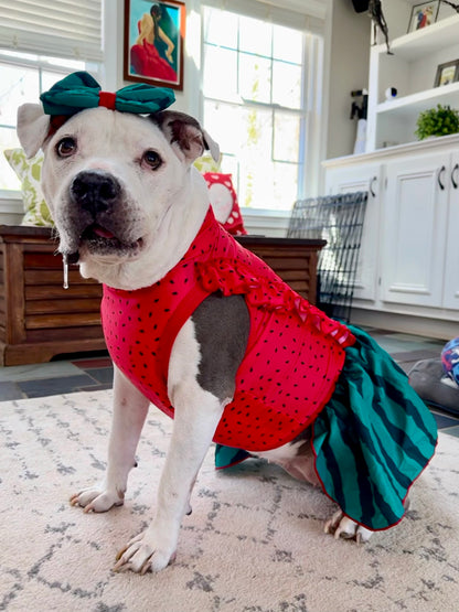 Watermelon Dog Dress With Ruffles & Bow