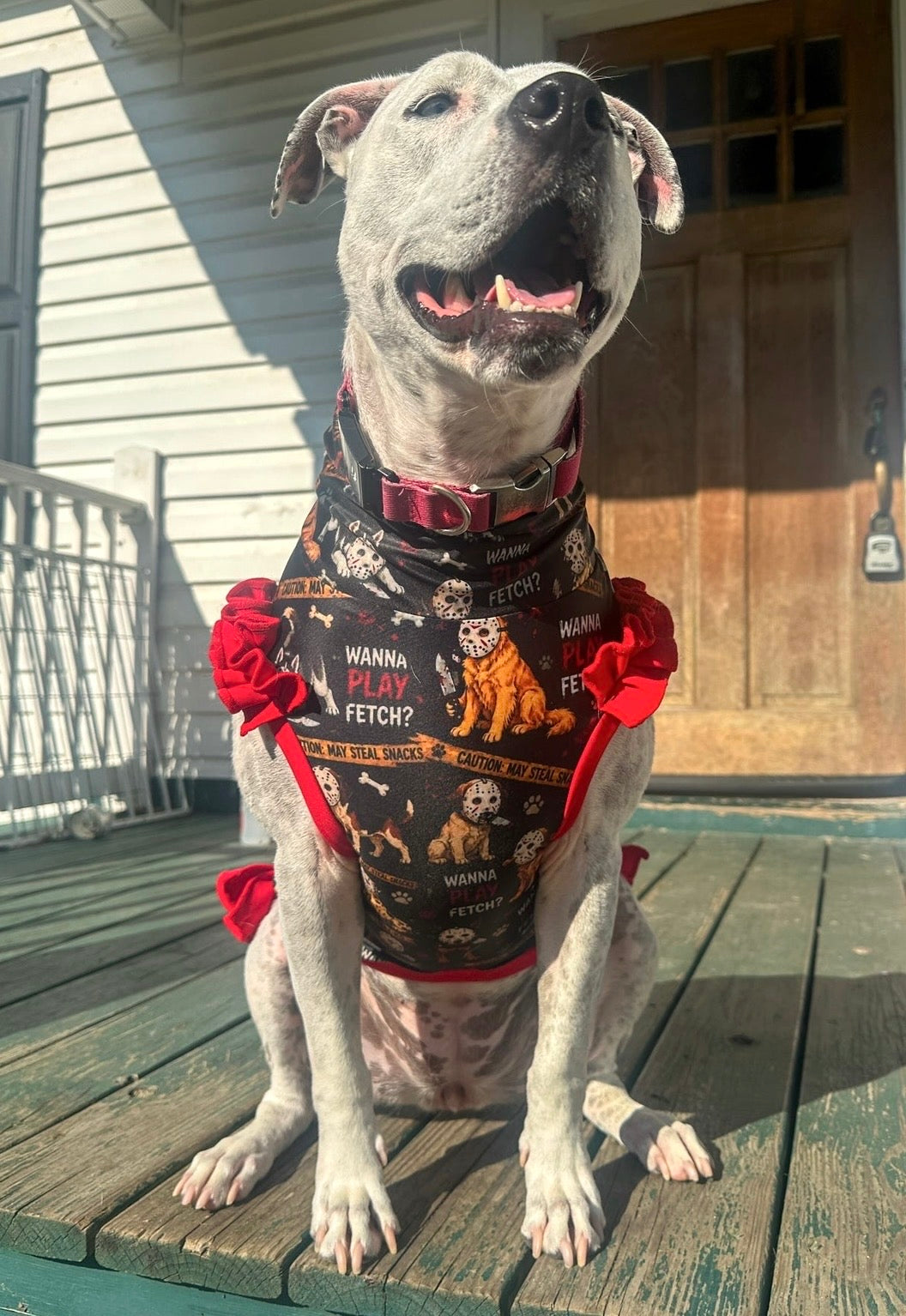 2026 Fall & Halloween Dog Shirt With Ruffles On the Booty (AVAILABLE IN ANY PRE-ORDER PATTERN)