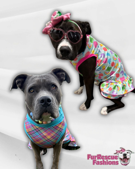 2026 St. Pawtricks & Easter Dog Dress With Ruffle / With Sleeves or Sleeveless (Available in any pattern)