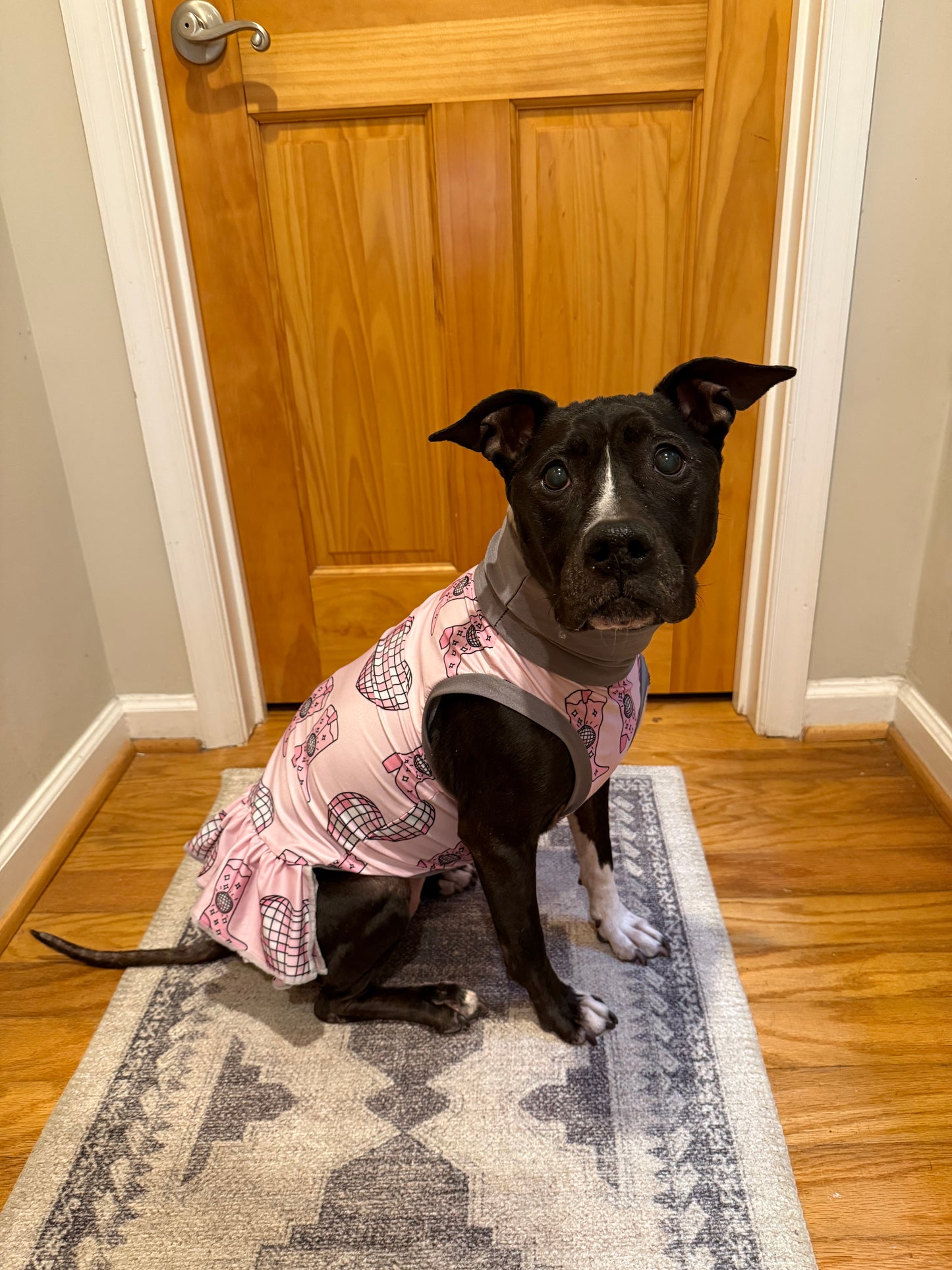 Disco Cowgirls Dog Pajama with Silver Neck & Trim/Sleeves