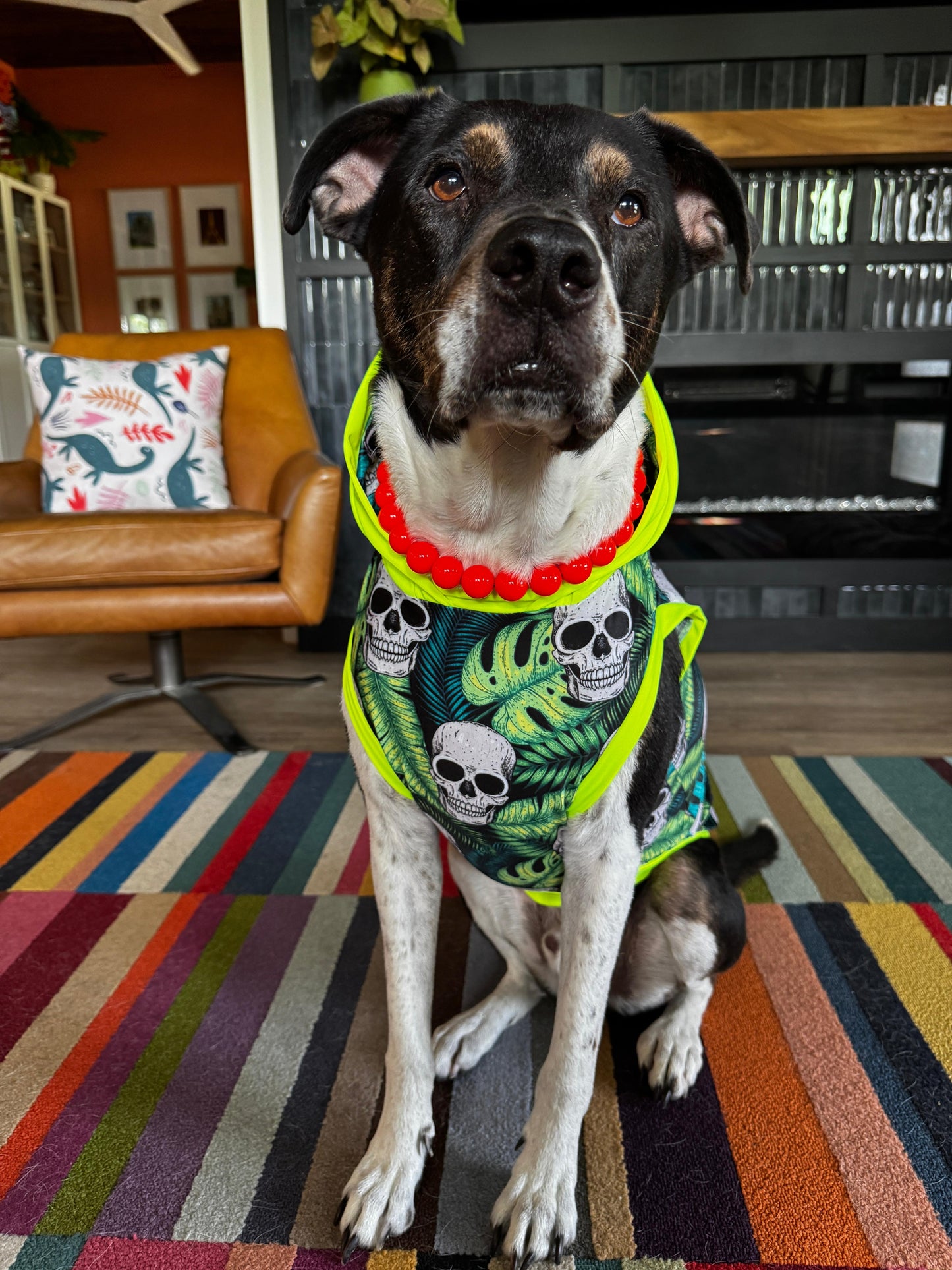 Tropical Skulls Halloween - Dog Pajama with Neon Neck & Trim/Sleeves
