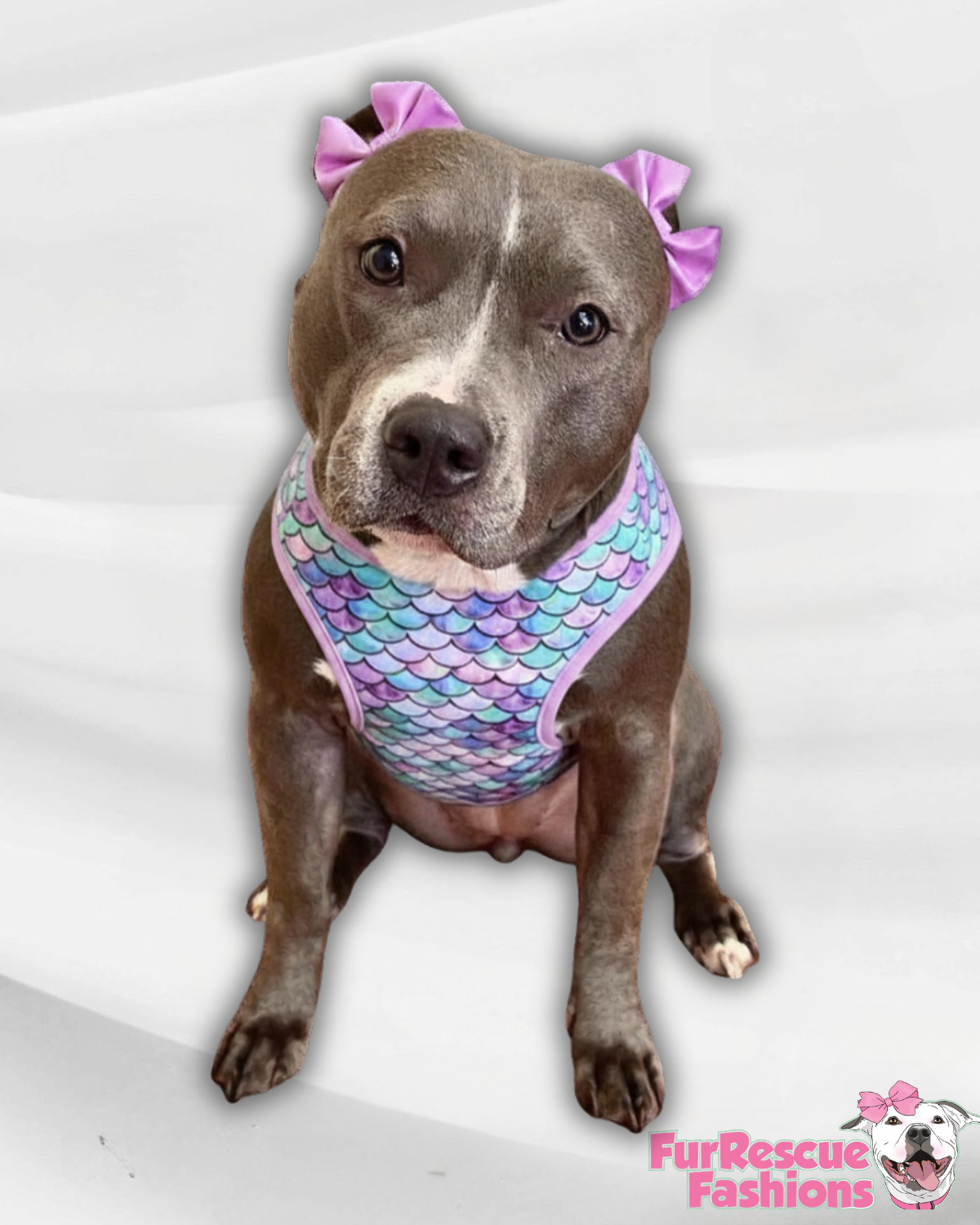 Pastel Mermaid Scales - Dog Pajama with Lavender Neck & Trim/Sleeves